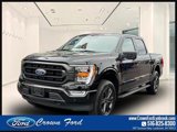Certified 2022 Ford F150 XLT w/ Equipment Group 302A High image 3