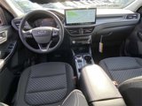 New 2025 Ford Escape Active w/ Tech Pack #1 image 6
