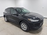 New 2025 Ford Escape Active w/ Active Premium Tech Pack image 3