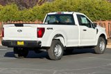 New 2024 Ford F150 XL image 4