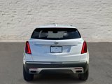 Used 2021 Cadillac XT5 Premium Luxury w/ LPO, Floor Liner Package image 4