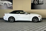 Used 2017 Ford Mustang Premium image 3