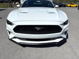 Used 2020 Ford Mustang Premium image 5