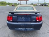 Used 2003 Ford Mustang Convertible image 4