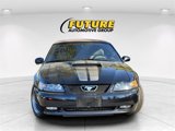 Used 2004 Ford Mustang GT image 2