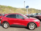 Used 2022 Ford Escape SE w/ Convenience Package image 4