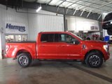 Certified 2023 Ford F150 XLT w/ Equipment Group 302A High image 2