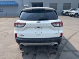 Used 2020 Ford Escape SEL image 3