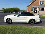Used 2017 Ford Mustang Convertible w/ Equipment Group 051A image 2