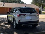 Used 2020 Ford Escape SE image 4
