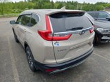 Used 2019 Honda CR-V EX image 4