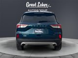 Used 2020 Ford Escape Titanium image 4