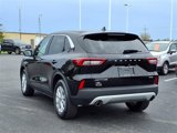 Used 2023 Ford Escape Active image 5