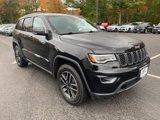 Used 2019 Jeep Grand Cherokee Trailhawk w/ Trailhawk Luxury Group image 3