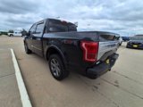 Used 2015 Ford F150 Platinum w/ Equipment Group 701A Luxury image 6