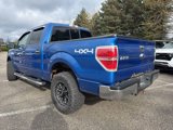 Used 2014 Ford F150 XLT w/ Equipment Group 302A Luxury image 4