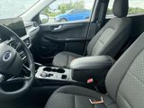 Used 2024 Ford Escape Active w/ Tech Pack #2 image 6