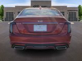 New 2025 Cadillac CT5 Sport image 4