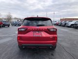 New 2025 Ford Escape ST-Line Elite w/ Premium Technology Package image 4