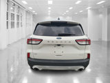 Used 2020 Ford Escape SE image 4