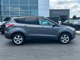 Used 2014 Ford Escape SE w/ Equipment Group 201A image 5