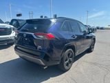 Used 2019 Toyota RAV4 XSE image 5