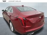 Certified 2025 Cadillac CT4 Premium Luxury image 4