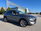 Used 2021 Ford Escape SEL image 1