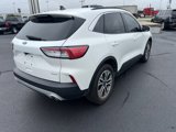 Used 2020 Ford Escape SEL image 3