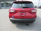 Used 2022 Ford Escape SE w/ SE Sport Appearance Package image 6