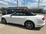 Used 2015 Ford Mustang Premium image 5
