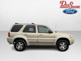 Used 2004 Ford Escape Limited image 5