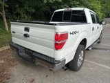 Used 2011 Ford F150 XLT w/ XLT Chrome Pkg image 3