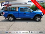 Used 2009 Ford F150 XLT image 2