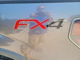 Used 2014 Ford F150 FX4 w/ Equipment Group 402A Luxury image 5
