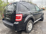 Used 2009 Ford Escape XLT image 3