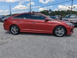 Used 2018 Hyundai Sonata Limited w/ Limited Ultimate Package 03 image 3