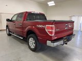 Used 2014 Ford F150 XLT w/ Equipment Group 302A Luxury image 6