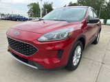 Used 2022 Ford Escape SE w/ Cold Weather Package image 3