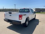 Used 2017 Ford F150 XL w/ Trailer Tow Package image 5