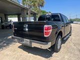 Used 2013 Ford F150 XLT w/ Luxury Equipment Group image 6
