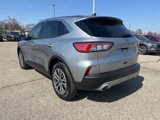 Certified 2022 Ford Escape SEL image 6