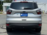 Used 2017 Ford Escape Titanium image 3