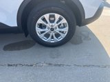 New 2024 Ford Escape ST-Line w/ Tech Pack #1 image 5