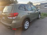 Used 2019 Subaru Forester image 4