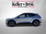 Used 2022 Ford Escape SEL w/ SEL Stealth AWD Package image 4
