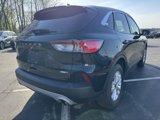 Used 2020 Ford Escape SE image 3