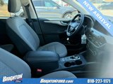 Used 2020 Ford Escape SE image 6
