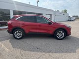 Used 2022 Ford Escape SE image 2
