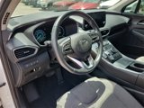 Used 2021 Hyundai Santa Fe Blue w/ Cargo Package image 3